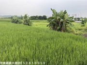 嘉義市大將房屋仲介公司--提供嘉義縣市房屋,嘉義買屋,嘉義買屋,嘉義賣屋,嘉義不動產,嘉義房屋仲介等相關服務 (104報紙房屋網 買屋 賣屋 租屋 委租 委賣 平台,專業房屋仲介個人網站) 秀林國小旁建地